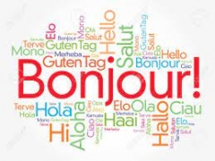 لغات و اصطلاحات (فرانسوی)