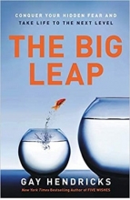 کتاب The Big Leap
