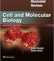 کتاب سل اند مولوکولار بیولوژی 2019 Lippincott Illustrated Reviews Cell and Molecular Biology (Lippincott Illustrated Reviews Se