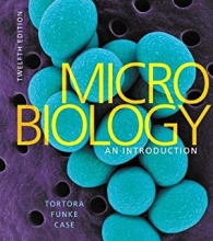 کتاب میکروبیولوژی ان اینتروداکشن Microbiology An Introduction Books a la Carte Edition