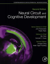 کتاب نیورال سرکیت اند کاگنتیو دولوپمنت Neural Circuit and Cognitive Development, 2nd Edition2020