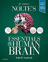 کتاب نولتز اسنشالز آف هیومن برین Nolte’s Essentials of the Human Brain 2nd Edition2018