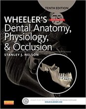 کتاب ویلرز دنتال آناتومی فیزیولوژی Wheeler's Dental Anatomy, Physiology and Occlusion 2015