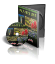 مستند زندگی گياهان plants life