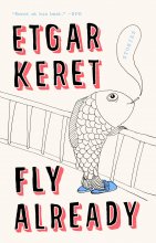 کتاب رمان انگلیسی پرواز در حال حاضر: داستان ها Fly Already: Stories