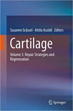 Cartilage : Volume 3: Repair Strategies and Regeneration