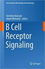 B Cell Receptor Signaling