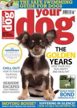 Your Dog Magazine - August 2022