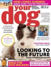 کتاب مجله انگلیسی یور داگ مگزین  Your Dog Magazine - June 2022