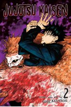 کتاب رمان مانگا جوجوتسو کایسن manga Jujutsu Kaisen 2