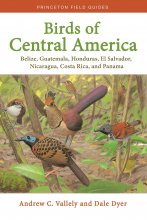 کتاب انگلیسی  بردز آف سنترال آمریکا Birds of Central America