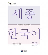 Sejong Korean Vocabulary and Grammar 3B