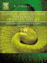 Clinical Anatomy and Physiology of Exotic Species