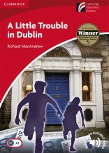 کتاب داستان یک مشکل کوچک در دوبلین A Little Trouble in Dublin