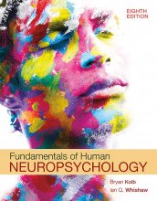کتاب انگلیسی نوروسایکولوژی Fundamentals of Human Neuropsychology 8th Edition