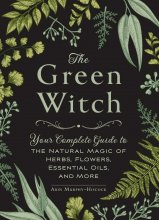 کتاب رمان انگلیسی جادوگر سبز The Green Witch