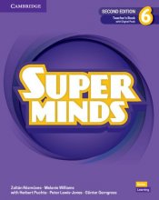 Super Minds Level 6 Teachers Book