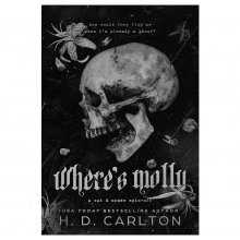 رمان انگلیسی مولی کجاست Wheres Molly
