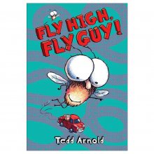 کتاب داستان کودکان انگلیسی فِلای گای، پرواز کن! Fly High, Fly Guy