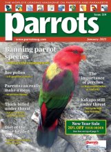 مجله انگلیسی Parrots – January 2025