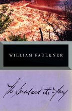 کتاب رمان انگلیسی خشم و هیاهو  The Sound and The Fury اثر ویلیام فاکنر William Faulkner
