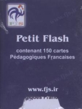 petit flash contenant 150 cartes pedagogiques francais