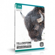 مستند پارک ملی یلو استون YELLOWSTONE