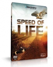 مستند سرعت زندگی SPEED OF LIFE