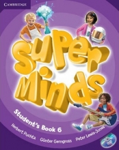 Super Minds Level 6