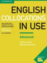 English Collocations in Use Advanced 2nd